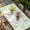 LightGreen, variant on Easter Bunny Table Cloths for 4 Foot Rectangle Tables, Watercolor Butterfly Cute Rabbit Flowers Blue Patio Waterproof Elastic Fitted Tablecloths, Washable Rectangular Table Cover for Camping