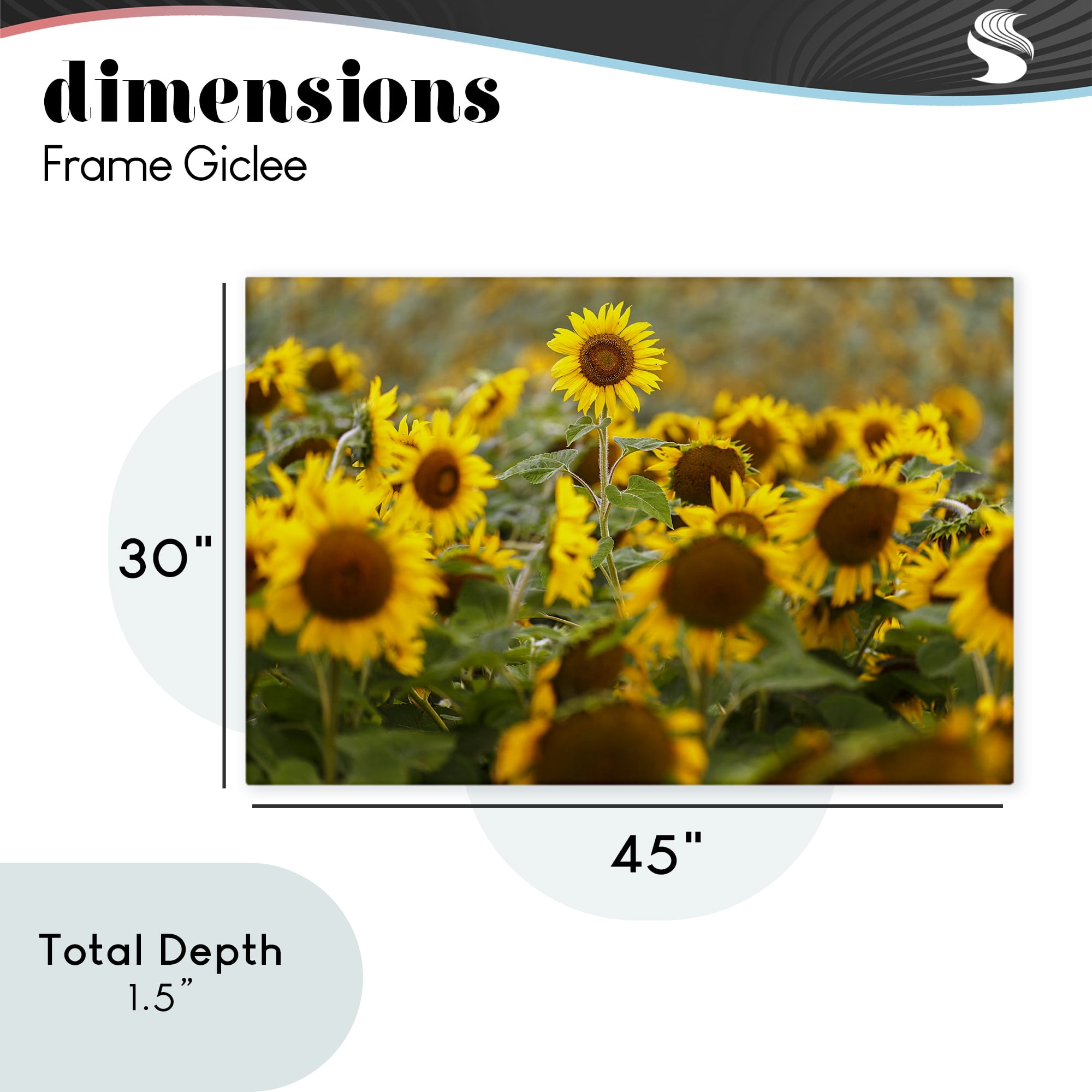 Central Sunflower in Meadow Canvas Wall Art, design by Andy Crawford