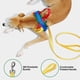 thumbnail image 4 of MoMA Dog Harness for Medium Large Dogs, Easy Walk Dog Harness and Leash Set, No, 4 of 5