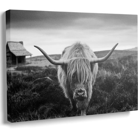 WFSposter Framed Highland Cow Canvas Wall Art Black and White Landscape Pasture Hairy Animal Pictures Farmhouse Prints Photo Contemporary Decor Paintings Home Decoration Artwork Ready To Hang 12x16