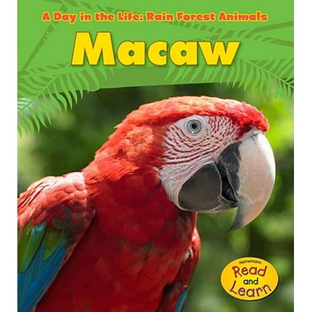 Day In The Life Rain Forest Animals Paperback Macaw Paperback Walmart Com