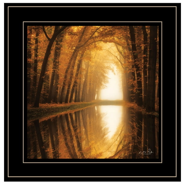 Trendy Decor 4U MPP414-704G "Lochem Reflections" by Martin Podt, Ready to Hang Framed Print, Black Frame