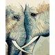thumbnail image 1 of Cuadros Decorativos Kit de pintura de diamante 5D Elefante Full Square Drill DIY Wall Arts (20x30CM) Likrtyny embutido en tela, 1 of 1