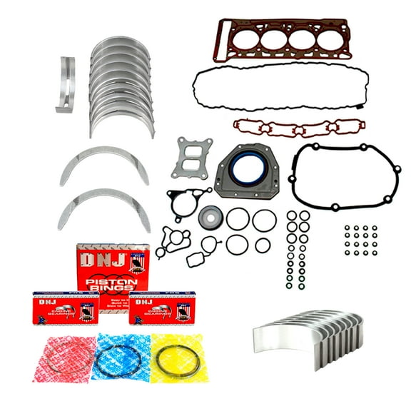 DNJ RRK4226A Re-Ring Kits Set Fits Cars & Trucks 15-18 Audi 2.0L DOHC