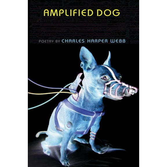 Amplified Dog, (Paperback)