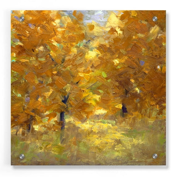 Epic Art 'Cottonwoods' by Sheila Finch, Acrylic Glass Wall Art, 36"x36"