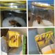 thumbnail image 1 of Queen Bee marcador botella Queen Bee Catcher jaula émbolo plástico una mano herramienta de apicultura amarillo, Queen Bee marcador botella, 1 of 2