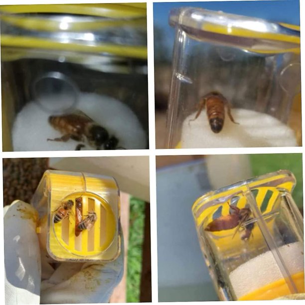 Queen Bee marcador botella Queen Bee Catcher jaula émbolo plástico una mano herramienta de apicultura amarillo, Queen Bee marcador botella