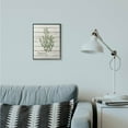 thumbnail image 3 of Stupell Industries Marjoram Vintage Herb Kitchen Dining Room Word Collage Design Framed Giclee Texturized Art by Kimberly Allen, 3 of 3