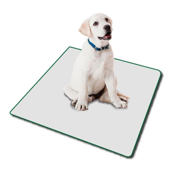 Poochpad PG1818RP Small Indoor Turf Dog Potty Replacement Pad