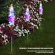 thumbnail image 2 of Luces Solares Flores Delfinio Colorida Lámpara Impermeable (púrpura) 4 Uds., 2 of 9