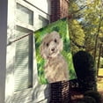 thumbnail image 2 of Carolines Treasures BB9550CHF Champagne Cockapoo St. Patricks Canvas House Flag, 2 of 4