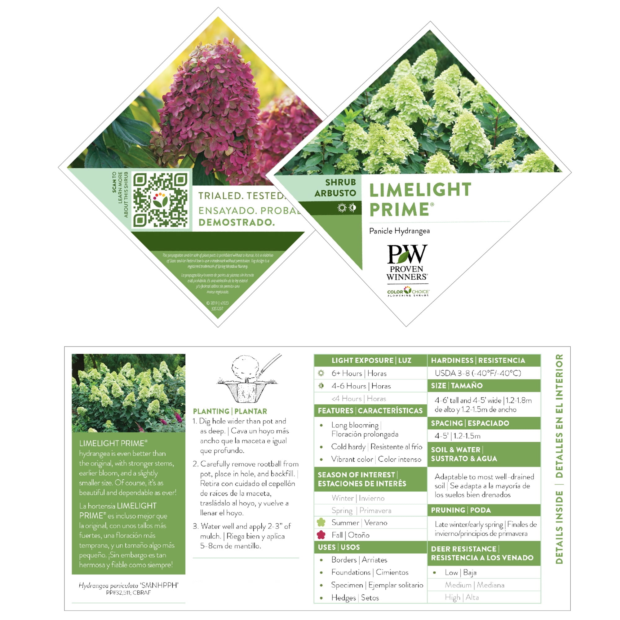 Proven Winners ColorChoice Limelight Prime Hydrangea Live Shrub (5 Gallon)