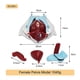 thumbnail image 3 of 1 Uds. uterino pélvico femenino modelo de músculo del suelo pélvico humano anatomía esqueleto trauma enfermería maniquí entrenamiento, 3 of 5
