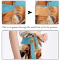 thumbnail image 3 of Corgi Dog Stunning Chiffon Beach Dress with Polyester Straps - for the Beach!, 3 of 6
