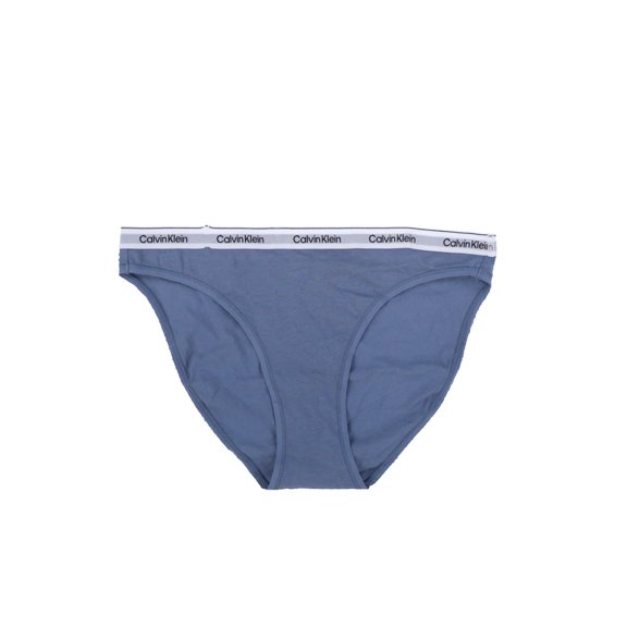 Calvin Klein Women's Modern Logo Low-Rise Bikini Panty Brief Solid Flint Stone