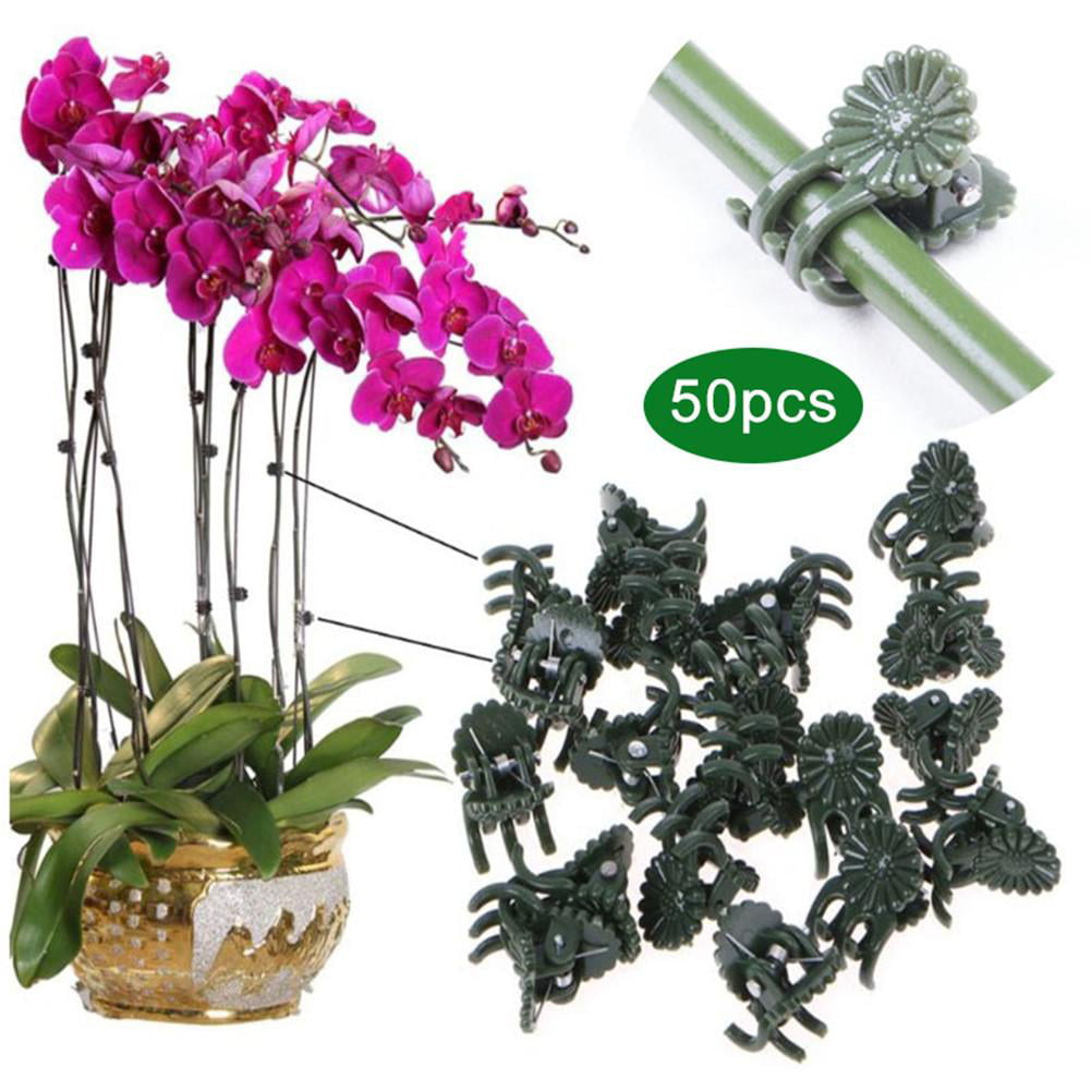 Mix Color, 60PCS Yardwe Phalaenopsis Clips Orchid Support Clips Vine Clips Plant Clips for Support Flower Orchid Vine 