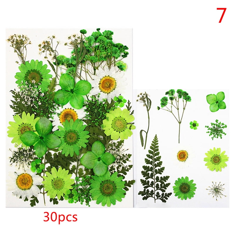 Dried Pressed Flowers for Resin Dry Leaves Bulk for Scrapbooking DIY