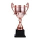 thumbnail image 1 of Trofeos de premio Trofeo pequeño para niños Copa de trofeo de premio para fútbol Fútbol Béisbol Cobre M, 1 of 9