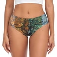 thumbnail image 1 of Fotbe Seasonal Tree Reflection Calzones Estampados para Mujer – Ropa Interior de Algodón, Cómoda, Suave y Elástica-X-Small, 1 of 6