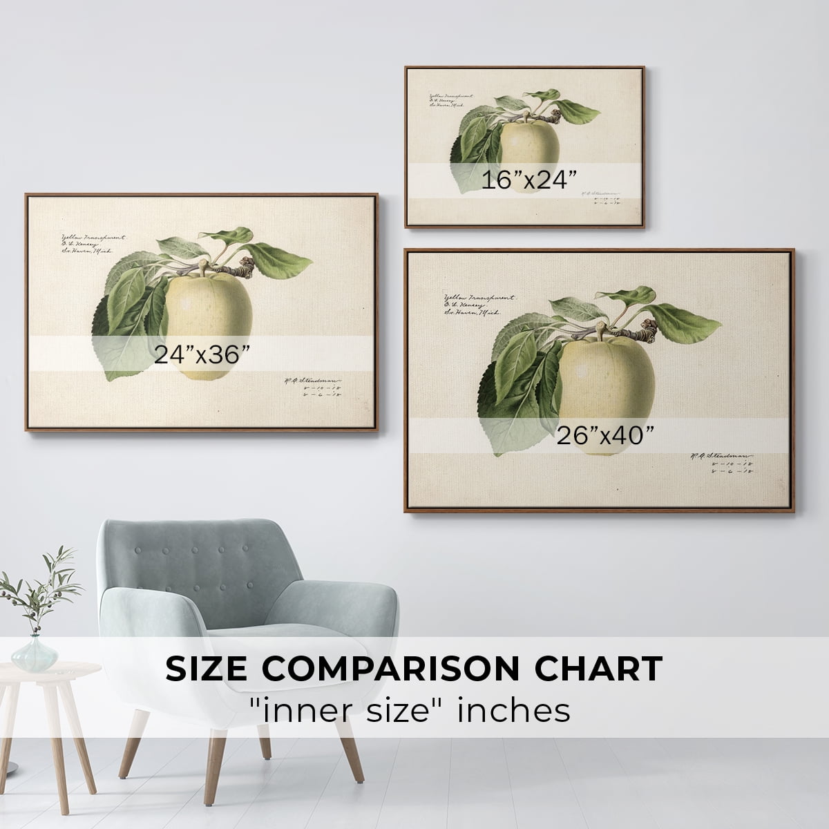 Vintage Botanical Print-XLV By Wexford Home Framed in Walnut Wood Gallery Wrapped Canvas 27 in. x 41 in.