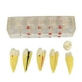 thumbnail image 1 of Modelo de Resina de Dientes de Enfermedad Accesoriso de Laboratrio para Estudiar Zulema Molde de práctica dental, 1 of 6