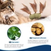 Feathered Catnip Mint Toys (3pc)