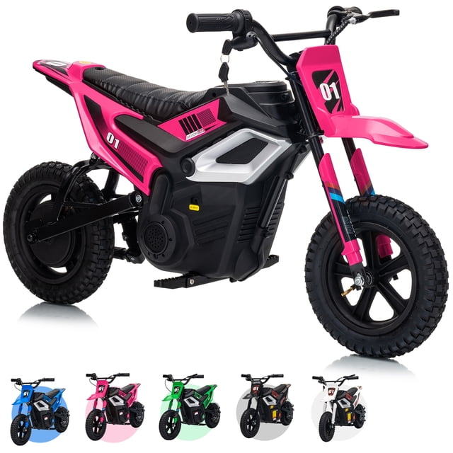 CazToi 24V Kids Dirt Bike 350W Motor 14 MPH 12 Mile Range Rear Suspension