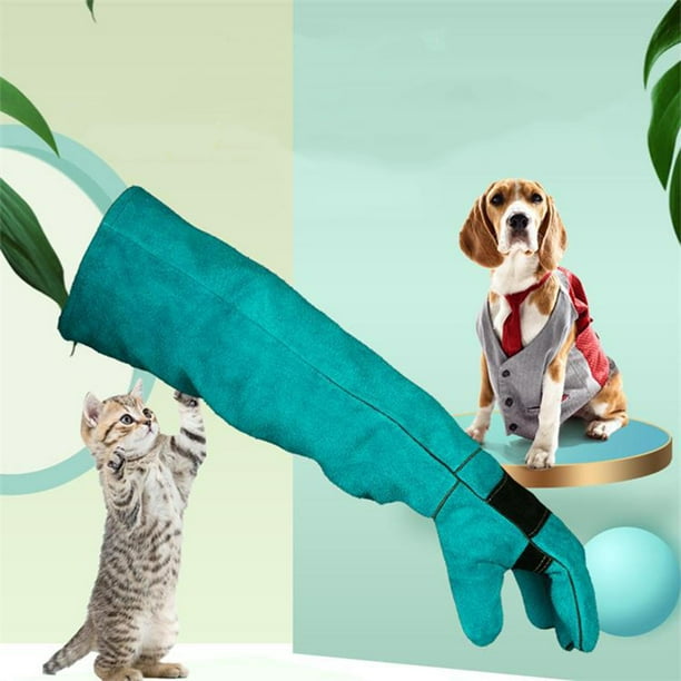 Hound glove top dog grooming