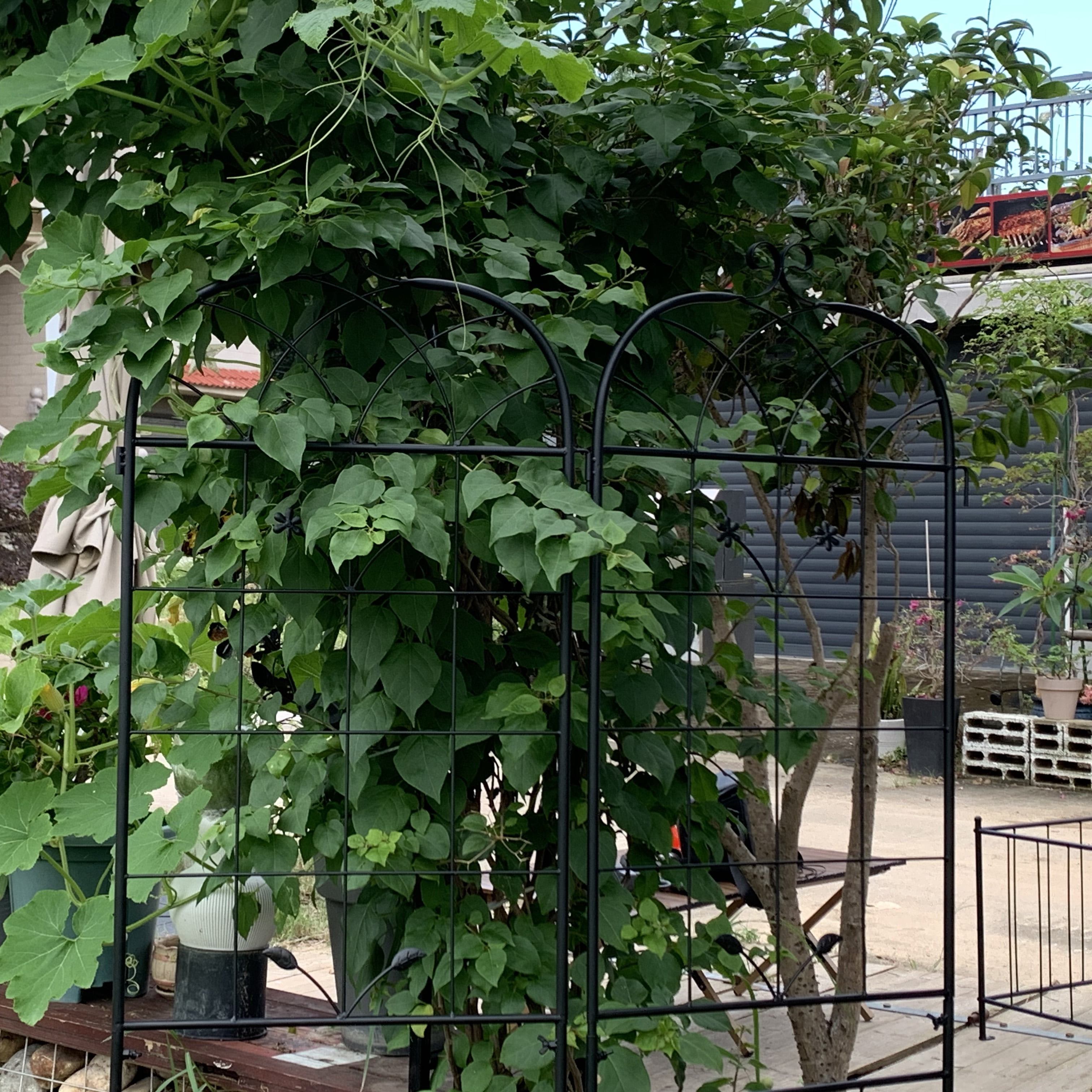 Garden Trellis, 2 Pack Metal Trellis for Climbing Plants, Indoor/Outdoor Plant Trellis for Potted Plants, House Plants, Climbing Vines, Flowers and Vegetables