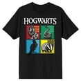 thumbnail image 6 of Harry Potter Hogwarts House Emblems Men's Black Graphic Tee-Large, 6 of 7