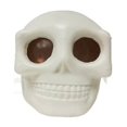 thumbnail image 1 of Mom's Best Juguetes para aliviar el estrés con forma de calavera para Halloween, 1 of 5