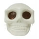 thumbnail image 1 of Mom's Best Juguetes para aliviar el estrés con forma de calavera para Halloween, 1 of 5