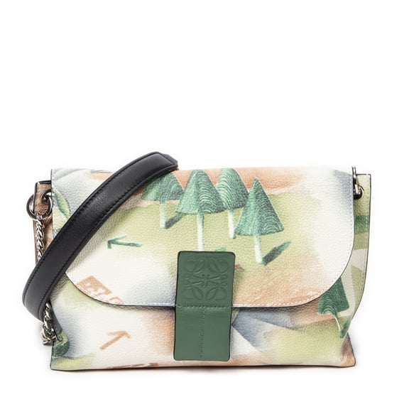Pre-Owned Loewe Green Printed Avenue Crossbody Shoulder Bag Printed Calfskin Leather