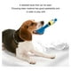 thumbnail image 4 of Greeniant Juguete interactivo para perros y gatos, duradero y fácil de limpiar, juguetes para masticar para perros, juguetes para masticar Suministros para perros Pollo Grito Rojo, 4 of 6