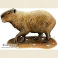thumbnail image 3 of CafePress - Capybara Light T Shirt - Men's Classic Graphic T-Shirt, 3 of 4