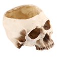 thumbnail image 4 of maceta de resina con diseño de cabeza de calavera para decoración de flores, 4 of 15