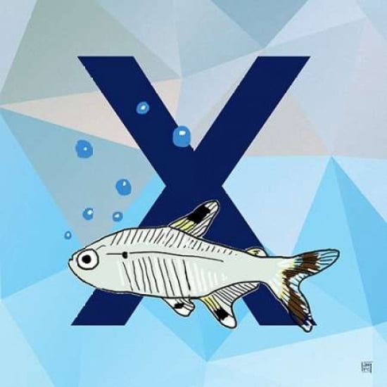 X Canvas Art - Aubr