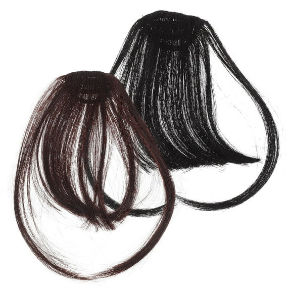 Tineasur 2pcs Fake Clip In Bangs Hair Extensions Wispy Bangs Hair Clip For Women Daily Use