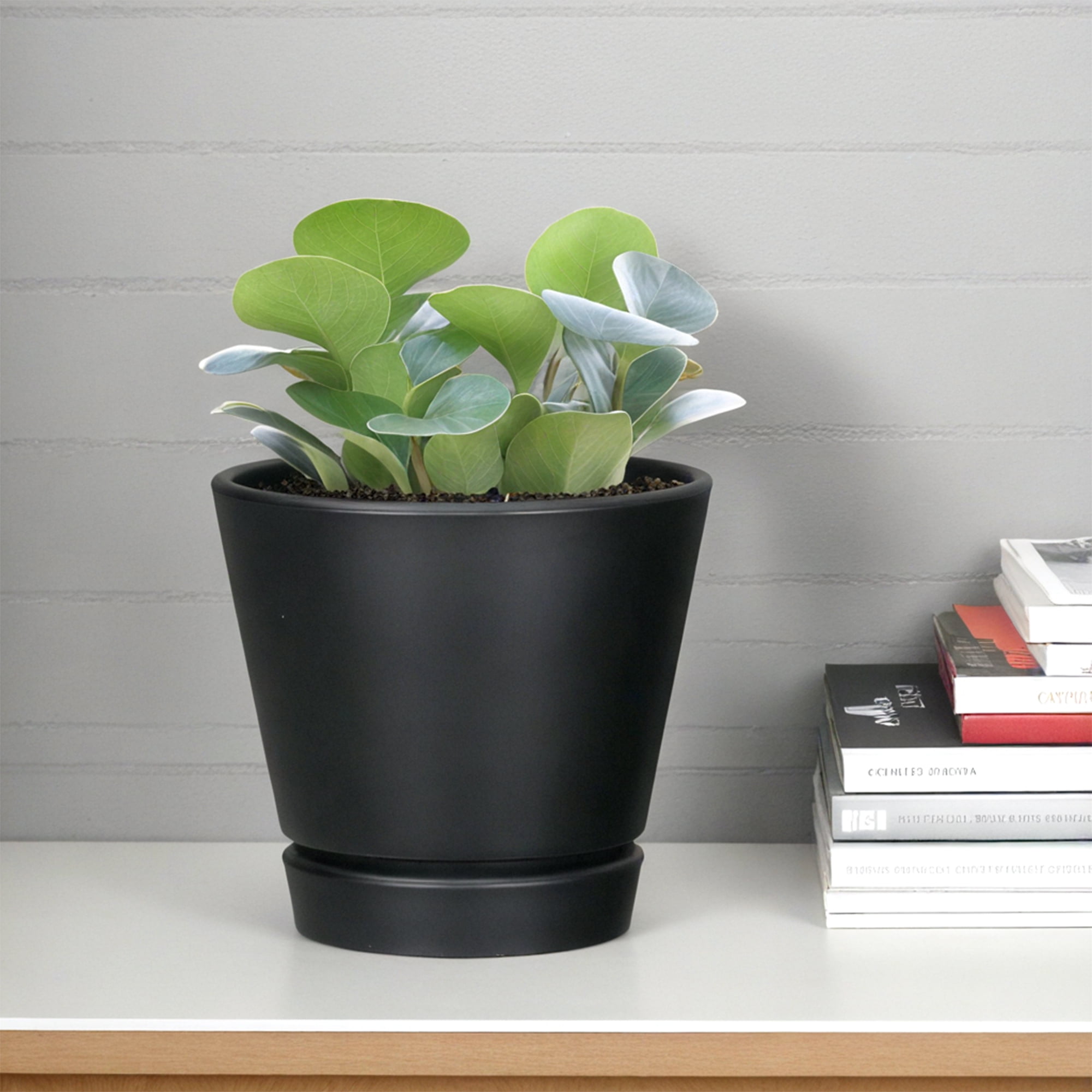 Mainstays Recycled Resin Planter with Attached Saucer, Black, 5.9in x 5.9in x 5.5in