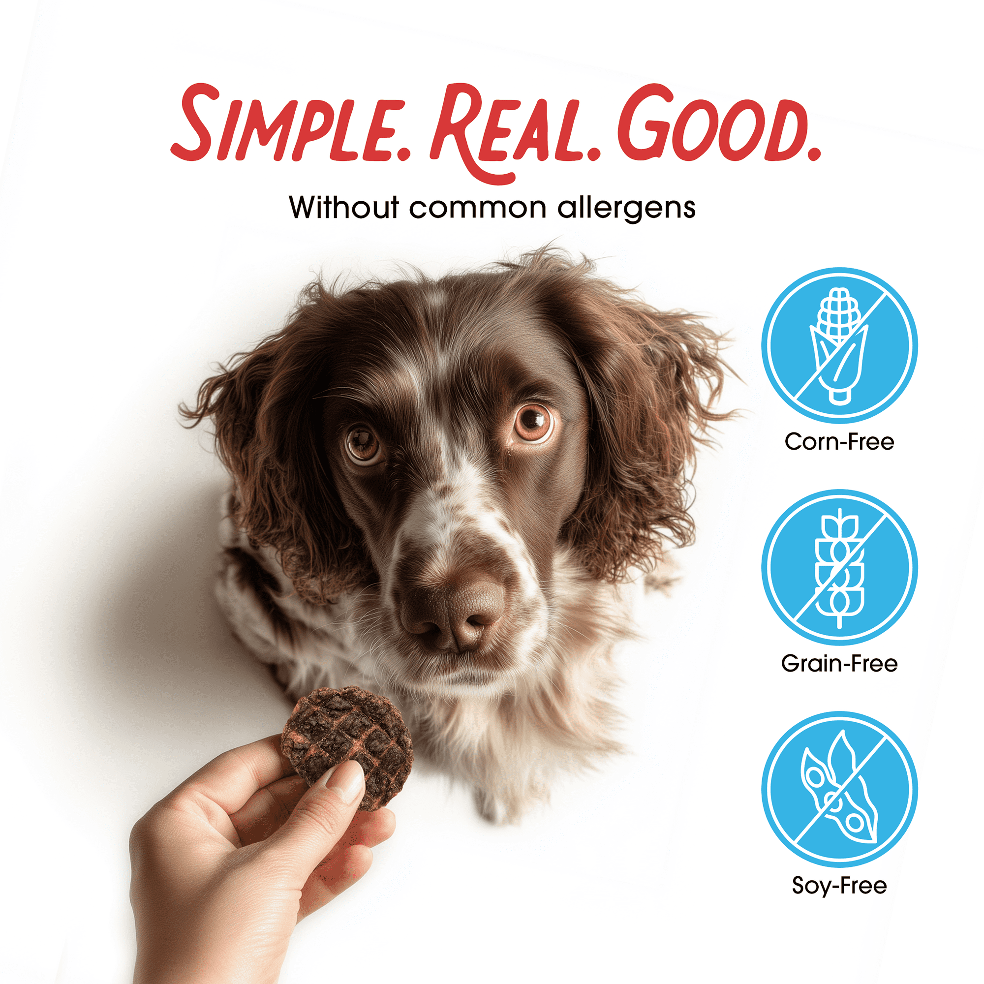Farmland Traditions Dogs Love Beef Jerky Dog Treats with Only 4 Ingredients and No Fillers, 2.5 Pound Bag