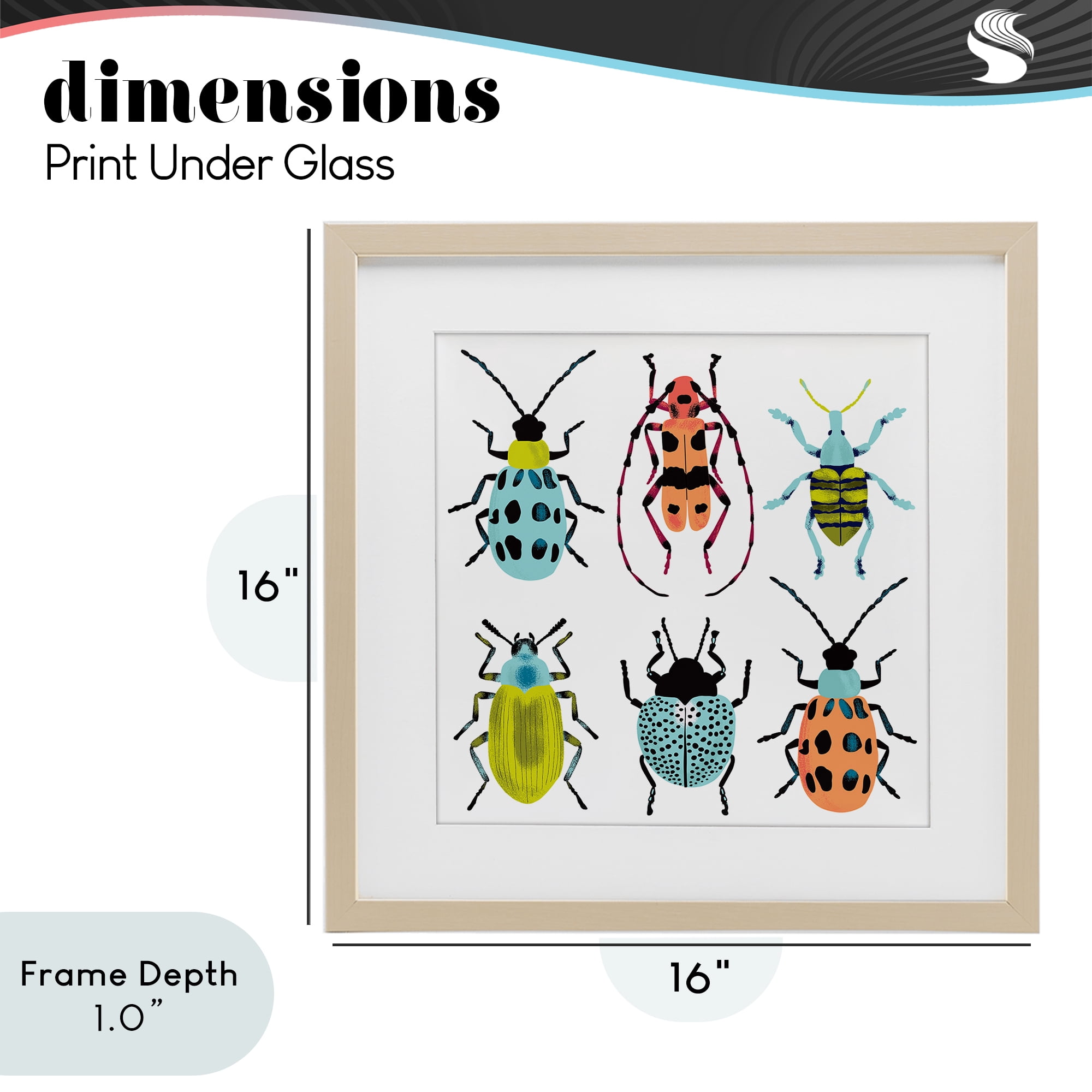 Stupell Industries Beetles & Bugs Collection Birch Framed Print Under Glass, design by Metka Hiti