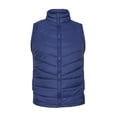 thumbnail image 1 of CHALECO LOGAN azul L, 1 of 4