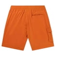 thumbnail image 2 of Shorts Cargo BALR Hexline Regular Fit Orange, 2 of 4