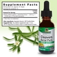 thumbnail image 5 of Nature’s Answer Cleavers Herbal Extract 2,000 mg, Alcohol-Free, Herbal Supplement, 1 fl oz (Pack of 2), 5 of 5