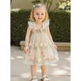 thumbnail image 4 of BemeyourBBs Toddler Baby Girls Fairy Baptism Dress Sleeveless Ruffle Sleeve 3d Floral Embroidery Summer Dress Cute Tulle Tutu Dress Birthday Wedding Party Princess Dress, 4 of 9