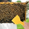thumbnail image 4 of Nestingho 1Ud Raspador De De Plástico Amarillo Con Mango Ergonómico Para Uso En Apicultura, 4 of 8