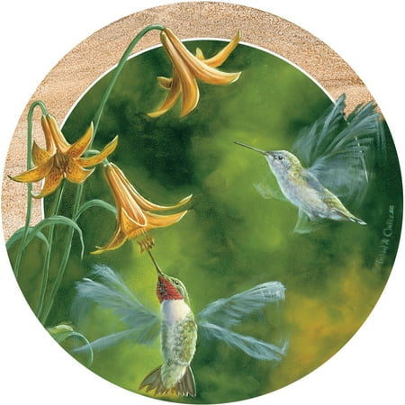 Hummingbird Coaster - Thirstystone Drink Coasters Set, Ruby-Throated Hummingbirds