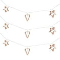thumbnail image 2 of Hometrends Copper Heart and Stars String Lights, 2 of 5