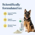 thumbnail image 2 of Honest Paws Well Pre+ Probiotics Supplement Powders for Dogs, Chicken Flavor, 30 Count Pouch, 2 of 9